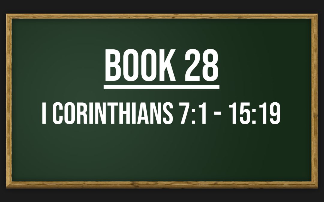 Book 28